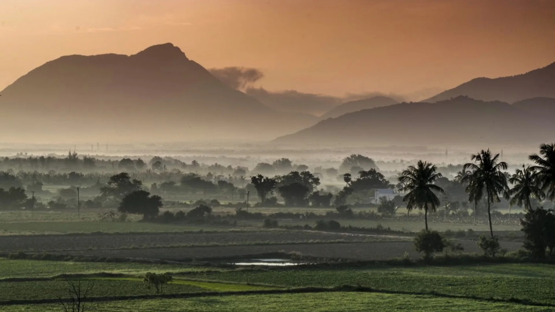 Western Ghats valley and palm groves near Coimbatore